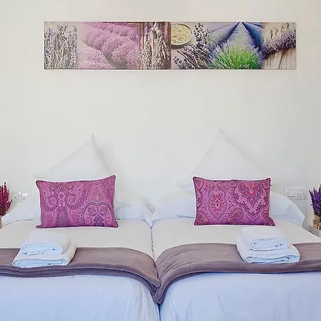 Otel Charm Paralel